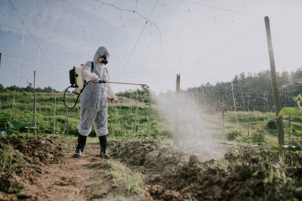 Best Commercial Pest Control Services  in Lakeview, NY