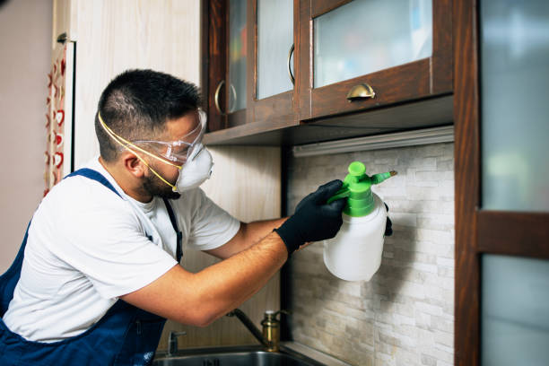 Best Emergency Pest Control  in Lakeview, NY