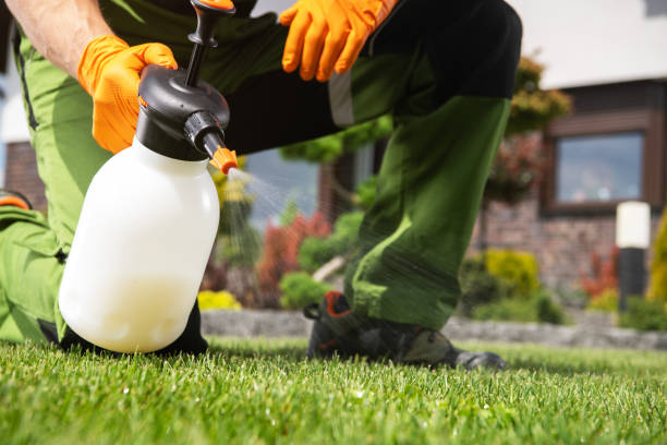 Best Wildlife Control Services  in Lakeview, NY