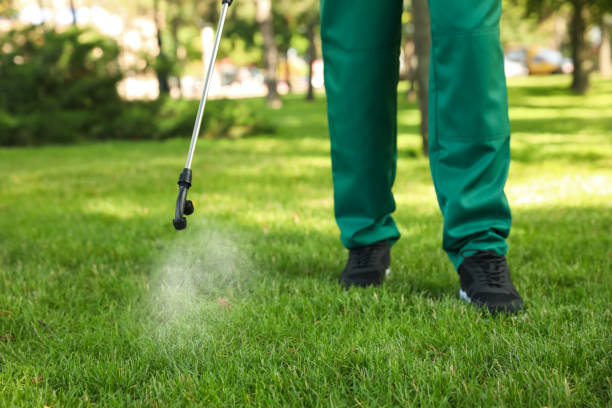 Best Insect Control  in Lakeview, NY
