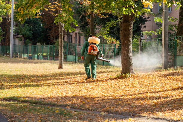 Best Wasp Removal Services  in Lakeview, NY