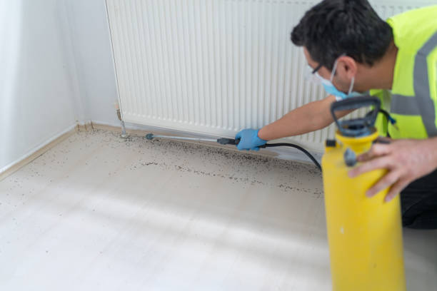 Best Pest Control for Restaurants  in Lakeview, NY